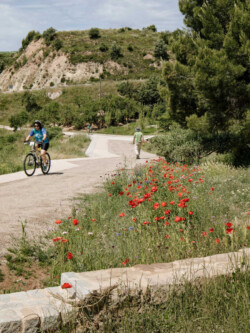 <a href="https://landscapearchitecturebuilt.com/staging/guixeres-path">Guixeres path</a>, <br>Barcelona, Spain