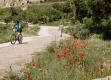 <a href="https://landscapearchitecturebuilt.com/staging/guixeres-path">Guixeres path</a>, <br>Barcelona, Spain