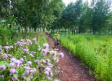 <a href="https://landscapearchitecturebuilt.com/staging/harbin-cultural-center-wetland-park">The Harbin Cultural Center Wetland Park</a>, <br>Harbin, Heilongjiang Province, China
