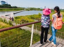 <a href="https://landscapearchitecturebuilt.com/staging/harbin-cultural-center-wetland-park">The Harbin Cultural Center Wetland Park</a>, <br>Harbin, Heilongjiang Province, China
