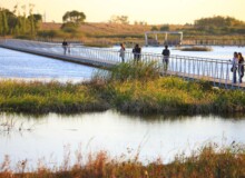 <a href="https://landscapearchitecturebuilt.com/staging/harbin-cultural-center-wetland-park">The Harbin Cultural Center Wetland Park</a>, <br>Harbin, Heilongjiang Province, China