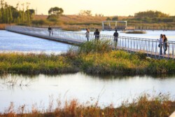<a href="https://landscapearchitecturebuilt.com/staging/harbin-cultural-center-wetland-park">The Harbin Cultural Center Wetland Park</a>, <br>Harbin, Heilongjiang Province, China