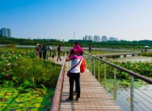 <a href="https://landscapearchitecturebuilt.com/staging/harbin-cultural-center-wetland-park">The Harbin Cultural Center Wetland Park</a>, <br>Harbin, Heilongjiang Province, China