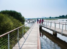 <a href="https://landscapearchitecturebuilt.com/staging/harbin-cultural-center-wetland-park">The Harbin Cultural Center Wetland Park</a>, <br>Harbin, Heilongjiang Province, China