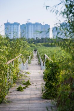 <a href="https://landscapearchitecturebuilt.com/staging/harbin-cultural-center-wetland-park">The Harbin Cultural Center Wetland Park</a>, <br>Harbin, Heilongjiang Province, China