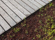 <a href="https://landscapearchitecturebuilt.com/staging/harbin-cultural-center-wetland-park">The Harbin Cultural Center Wetland Park</a>, <br>Harbin, Heilongjiang Province, China