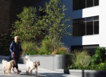 <a href="https://landscapearchitecturebuilt.com/staging/panorama-brooklyn">Panorama Brooklyn</a>, <br>Brooklyn Heights, Brooklyn, NY, USA