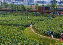 <a href="https://landscapearchitecturebuilt.com/staging/quzhou-luming-park">Quzhou Luming Park</a>, <br>Quzhou, Zhejiang Province, China