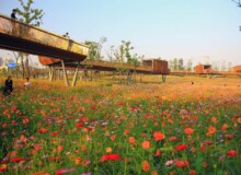 <a href="https://landscapearchitecturebuilt.com/staging/quzhou-luming-park">Quzhou Luming Park</a>, <br>Quzhou, Zhejiang Province, China
