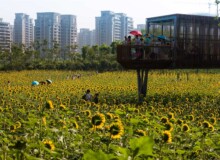 <a href="https://landscapearchitecturebuilt.com/staging/quzhou-luming-park">Quzhou Luming Park</a>, <br>Quzhou, Zhejiang Province, China
