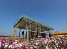 <a href="https://landscapearchitecturebuilt.com/staging/suqian-santaishan-flower-quilt">Suqian Santaishan Flower Quilt</a>, <br>Suqian, Jiangsu Province, China