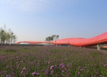 <a href="https://landscapearchitecturebuilt.com/staging/suqian-santaishan-flower-quilt">Suqian Santaishan Flower Quilt</a>, <br>Suqian, Jiangsu Province, China