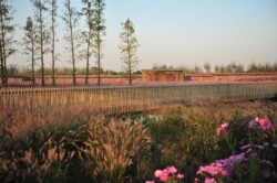 <a href="https://landscapearchitecturebuilt.com/staging/suqian-santaishan-flower-quilt">Suqian Santaishan Flower Quilt</a>, <br>Suqian, Jiangsu Province, China