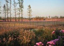 <a href="https://landscapearchitecturebuilt.com/staging/suqian-santaishan-flower-quilt">Suqian Santaishan Flower Quilt</a>, <br>Suqian, Jiangsu Province, China
