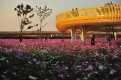 <a href="https://landscapearchitecturebuilt.com/staging/suqian-santaishan-flower-quilt">Suqian Santaishan Flower Quilt</a>, <br>Suqian, Jiangsu Province, China