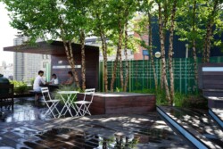 <a href="https://landscapearchitecturebuilt.com/staging/unfolding-terrace">Unfolding Terrace</a>, <br>DUMBO, Brooklyn, NY, USA