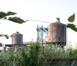 <a href="https://landscapearchitecturebuilt.com/staging/unfolding-terrace">Unfolding Terrace</a>, <br>DUMBO, Brooklyn, NY, USA