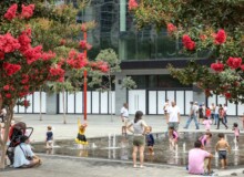 <a href="https://landscapearchitecturebuilt.com/staging/darling-harbour-public-realm">Darling Harbour Public Realm</a>, <br>Sydney, Australia