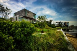 <a href="https://landscapearchitecturebuilt.com/staging/resilient-dunescape">Resilient Dunescape</a>, <br>Sea Bright, NJ, USA