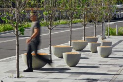 <a href="https://landscapearchitecturebuilt.com/staging/north-west-metro">North West Metro</a>, <br>Sydney, Australia