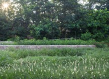 <a href="https://landscapearchitecturebuilt.com/staging/aranya-park">Aranya Park</a>, <br>Beidaihe, China