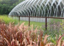 <a href="https://landscapearchitecturebuilt.com/staging/aranya-park">Aranya Park</a>, <br>Beidaihe, China