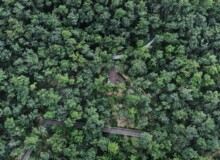 <a href="https://landscapearchitecturebuilt.com/staging/aranya-park">Aranya Park</a>, <br>Beidaihe, China