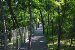 <a href="https://landscapearchitecturebuilt.com/staging/aranya-park">Aranya Park</a>, <br>Beidaihe, China