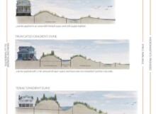 <a href="https://landscapearchitecturebuilt.com/staging/resilient-dunescape">Resilient Dunescape</a>, <br>Sea Bright, NJ, USA