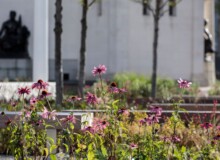 <a href="https://landscapearchitecturebuilt.com/staging/centenary-square">Centenary Square</a>, <br>Birmingham, England