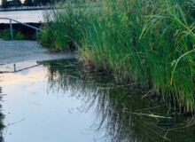 <a href="https://landscapearchitecturebuilt.com/staging/erie-street-plaza">Erie Street Plaza</a>, <br>Milwaukee, WI, USA