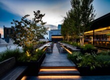 <a href="https://landscapearchitecturebuilt.com/staging/the-flatiron-institute">The Flatiron Institute</a>, <br>New York, NY, USA