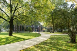 <a href="https://landscapearchitecturebuilt.com/staging/frederik-hendrikplantsoen">Frederik Hendrikplantsoen</a>, <br>Amsterdam, Netherlands