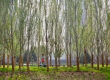 <a href="https://landscapearchitecturebuilt.com/staging/jiadu-park">JiaDu Park</a>, <br>Beijing, China