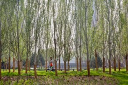 <a href="https://landscapearchitecturebuilt.com/staging/jiadu-park">JiaDu Park</a>, <br>Beijing, China