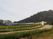 <a href="https://landscapearchitecturebuilt.com/staging/silver-oak-alexander-valley">Silver Oak Alexander Valley</a>, <br>Healdsburg, CA, USA