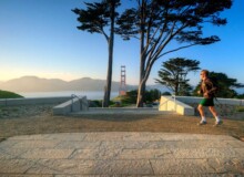 <a href="https://landscapearchitecturebuilt.com/staging/presidio-coastal-trail">Presidio Coastal Trail</a>, <br>San Francisco, CA, USA