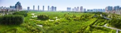 <a href="https://landscapearchitecturebuilt.com/staging/qunli-stormwater-park">Qunli Stormwater Park</a>, <br>Harbin, Heilongjiang Province, China