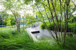 <a href="https://landscapearchitecturebuilt.com/staging/simons-center-for-geometry-and-physics">Simons Center for Geometry and Physics</a>, <br>University of New York, Stony Brook, NY, USA