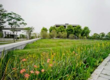 <a href="https://landscapearchitecturebuilt.com/staging/vanke-research-center">Vanke Research Center</a>, <br>Dongguan, China