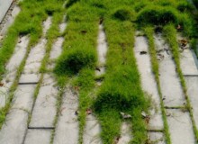 <a href="https://landscapearchitecturebuilt.com/staging/vanke-research-center">Vanke Research Center</a>, <br>Dongguan, China