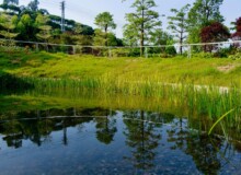 <a href="https://landscapearchitecturebuilt.com/staging/vanke-research-center">Vanke Research Center</a>, <br>Dongguan, China