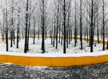 <a href="https://landscapearchitecturebuilt.com/staging/yanweizhou-park">Yanweizhou Park </a>, <br>Jinhua, Zhejiang Province, China