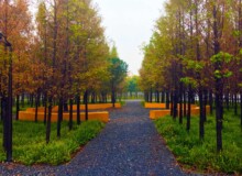 <a href="https://landscapearchitecturebuilt.com/staging/yanweizhou-park">Yanweizhou Park </a>, <br>Jinhua, Zhejiang Province, China