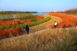 <a href="https://landscapearchitecturebuilt.com/staging/yanweizhou-park">Yanweizhou Park </a>, <br>Jinhua, Zhejiang Province, China