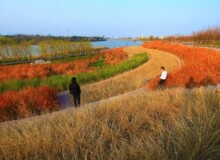 <a href="https://landscapearchitecturebuilt.com/staging/yanweizhou-park">Yanweizhou Park </a>, <br>Jinhua, Zhejiang Province, China