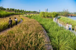 <a href="https://landscapearchitecturebuilt.com/staging/yanweizhou-park">Yanweizhou Park </a>, <br>Jinhua, Zhejiang Province, China