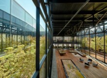 <a href="https://landscapearchitecturebuilt.com/staging/merkez-ankara-showroom">Merkez Ankara Showroom</a>, <br>Ankara, Turkey