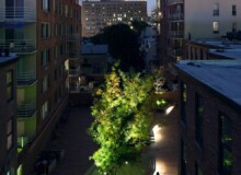 <a href="https://landscapearchitecturebuilt.com/staging/archipelago-courtyard">Archipelago Courtyard</a>, <br>Boerum Hill, Brooklyn, NY, USA