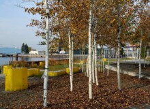 <a href="https://landscapearchitecturebuilt.com/staging/erie-street-plaza">Erie Street Plaza</a>, <br>Milwaukee, WI, USA